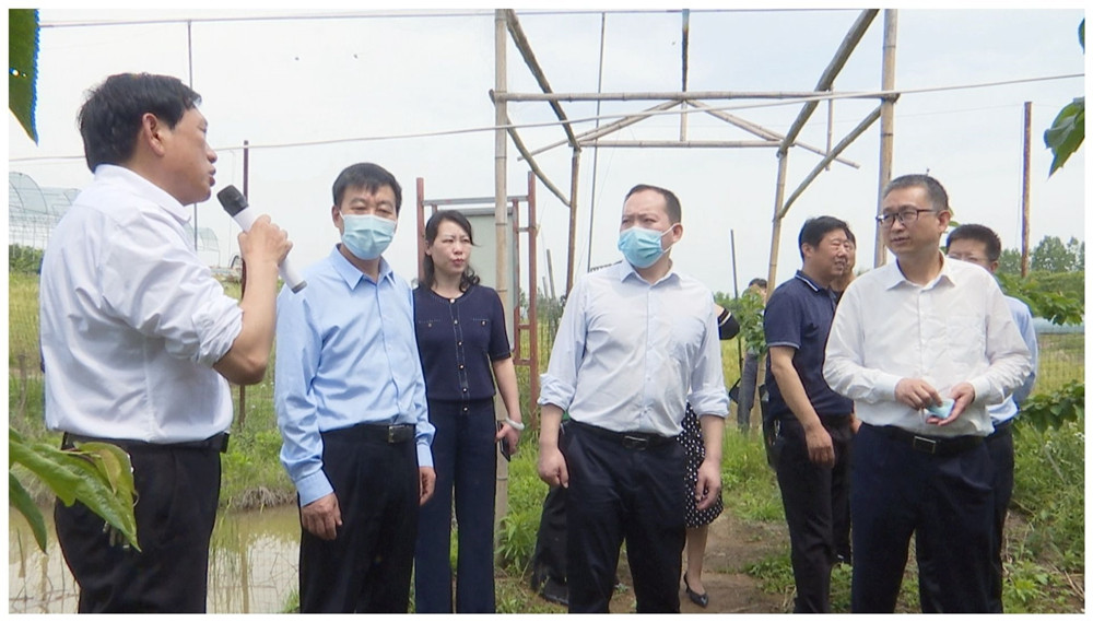民2.jpg