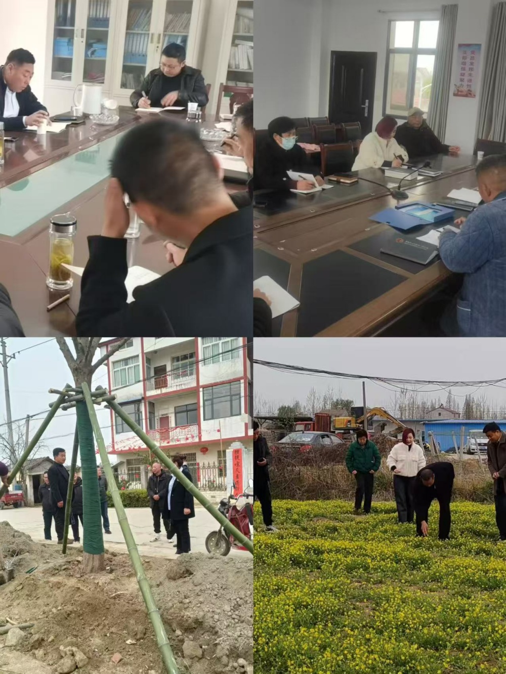 微信图片_20250408202656